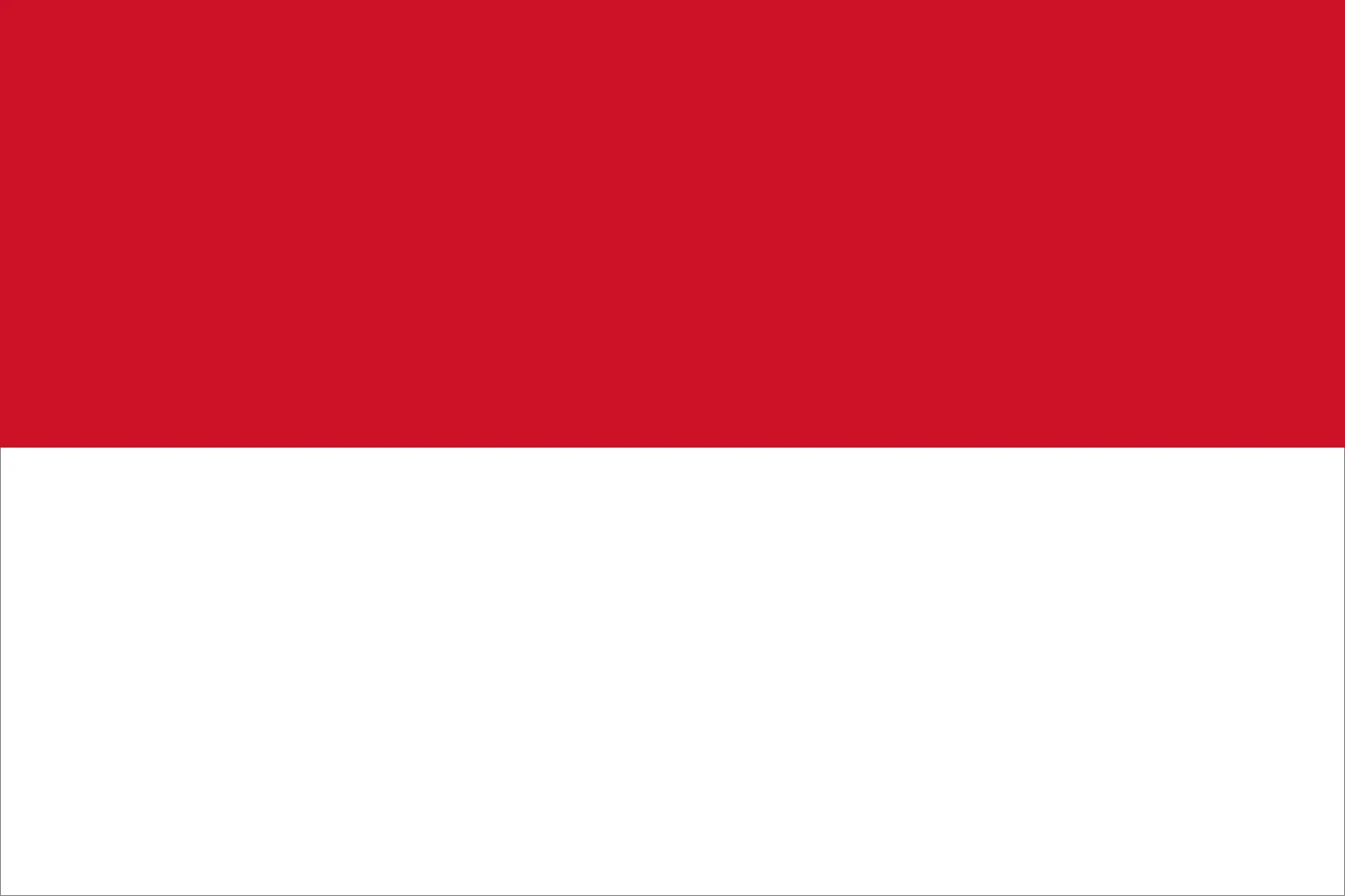 indonesia flag icon