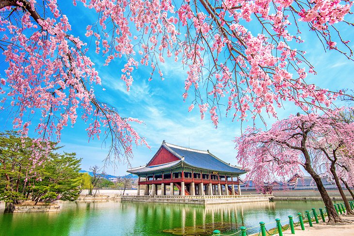 south korea city image